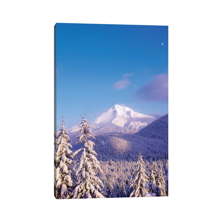 Bless international SnowCovered Trees, Mt. Hood (Highest Point In